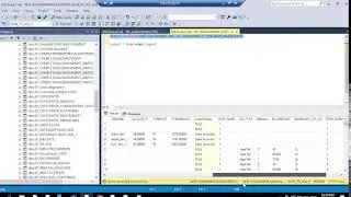 adding the button to the daybook report