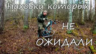 Нашли старый хутор, а рядом заваленный блиндаж. Много интересных находок!