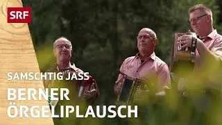Berner Örgeliplausch: Echo vom Rotä Turä  | Samschtig-Jass – Volksmusik | SRF