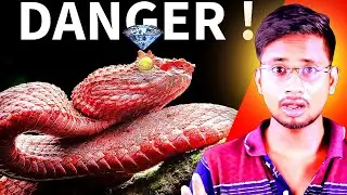 Indians Snakebite Epidemic : What's Really Happening ? | The Shocking Truth | Mr Suvendu