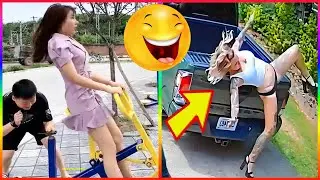AWW NEW FUNNY 😂 Funny Videos 