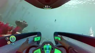 True And Honest Subnautica Review