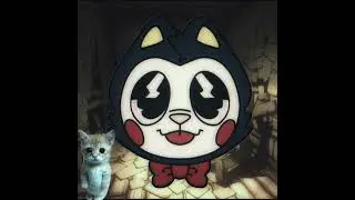 The boyo :3