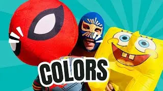 Learning Colors with Rayito’s Toy Collection! 🎨 Fun Toddler Color Learning