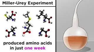 The Origin of Life on Earth