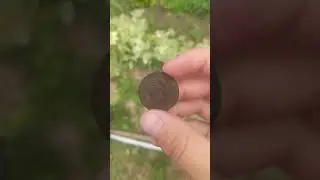 тест квазар арм для олх
