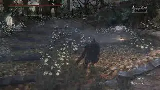 Bloodborne  NG 44.Клинки милосердия,часть 2