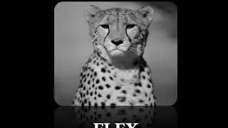 Flex
