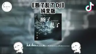 断了乱了 Dj ♪ - （抖音版 2025）『抖音 | TikTok Remix』【動態歌詞】【纯音乐】