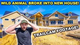 WILD ANIMAL Broke into My NEW HOUSE!!! (Caught on Trail Cam)
