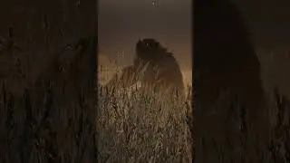 Who did I meet in a wheat field, a terrible bear #shorts