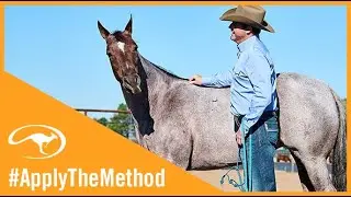 Clinton Anderson: A Tip for Haltering Your Horse