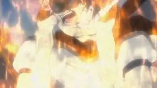fairy tail