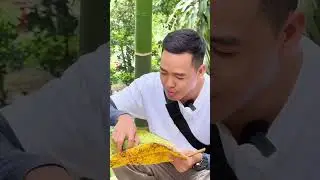 Ăn trái vã tại cây sẽ như thế nào