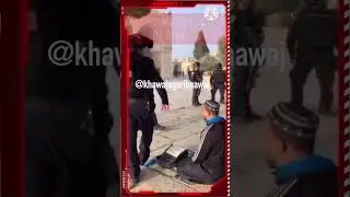 palestine attitude video 🔥|| Palestine brave Man #palestine #attiduestatus #muslims #dua