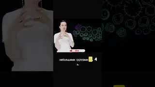Что сочетать с елью. Растения для влажных мест. #shorts  #пермакультура #лесосад #ландшафтныйдизайн