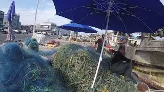 Ke jongja || TKI KOREA