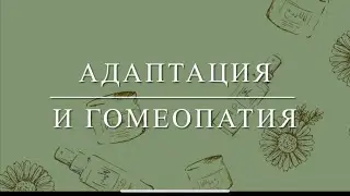 Адаптация и гомеопатия