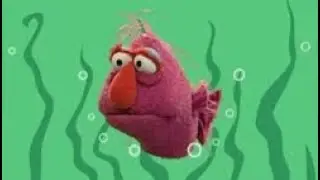 Elmo World Water Quizzes