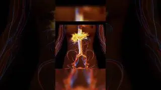 🤯😲Secret Behind Weight Loss. அடக்கடவுளே!!!