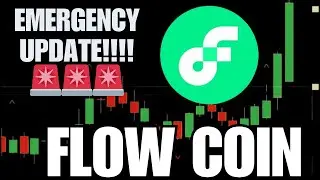 Flow (FLOW) Coin Price Prediction 2024 | Next 100x Altcoin 💥