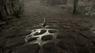 Skyrim SE Modded WTF is this