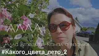 СП #Какого_цвета_лето_2