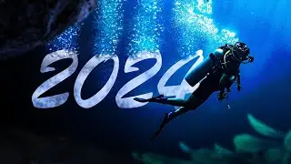 Why I Revamped My Diving Goals This Year - What I Learned