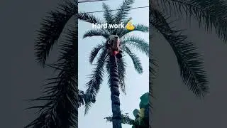 Hard work