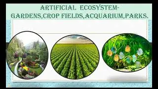 class 10 our environment introduction part 1