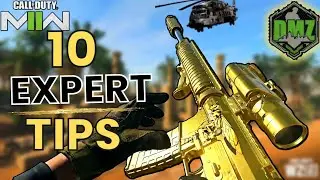 Expert 