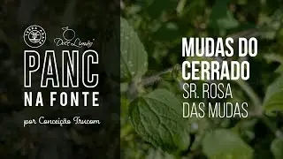 PANC na Fonte - Mudas do Cerrado