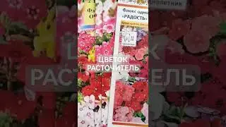 Сеете ли ВЫ ФЛОКСЫ? ПРИБЫЛЬНО?