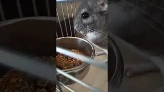 Продолжение с наполнителем с мятой🍏🥬🍵