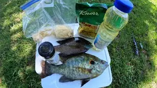 Catching giant Bluegill (Catch clean & cook)