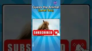 LET'S TEST The POWER OF YOUR EYESIGHT 👀 #viralquiz #quizchallenge #emojichallenge #guessinggame