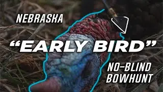 "Early Bird" Nebraska Turkey BOW Kill with No Blind - BUILT4THEHUNT