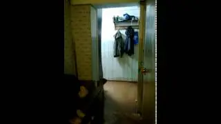 Напугал до усрачки