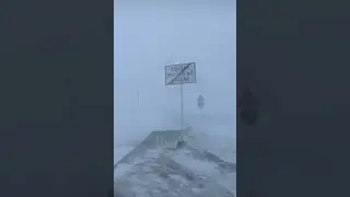 Зандак😂😂