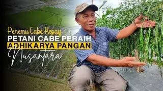 Meninggalkan Pekerjaan Kuli Bangunan Sampai Dianggap Tidak Normal Akhirnya Menjadi Penemu Cabe Kopay