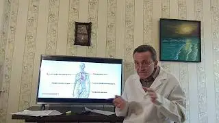 Часто болеющие дети. Как укрепить ребенку иммунитет и проводить профилактику.