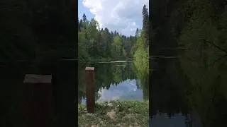 Лапухинка или дача Геринга #интересныеместа #интересно #ленинградскаяобласть #руины #история
