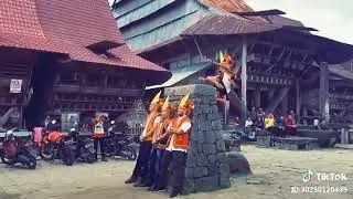 Nias punya