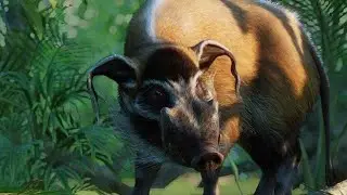 {PLANET ZOO} Red River Hog Habitat Build