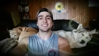 What We Can Learn From Animals