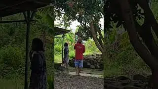 mau hujan