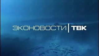 Охота на медведей, пока те в спячке / «Эконовости»