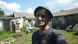 ПЧЕЛИНЫЙ ПЕРЕПОЛОХ ПОД ЖЕСТЯНОЙ КРЫШЕЙ АРБУЗНАЯ КОРОЧКА НА УЖИН
