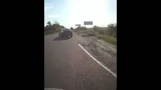 Сидит такая красавица, как будто так и надо.