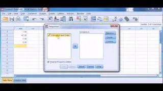 SPSS for newbies: Name your variables by completing 